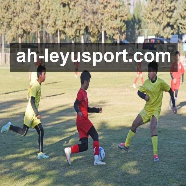 <strong>乐鱼体育</strong>全球化体育服务团队形象